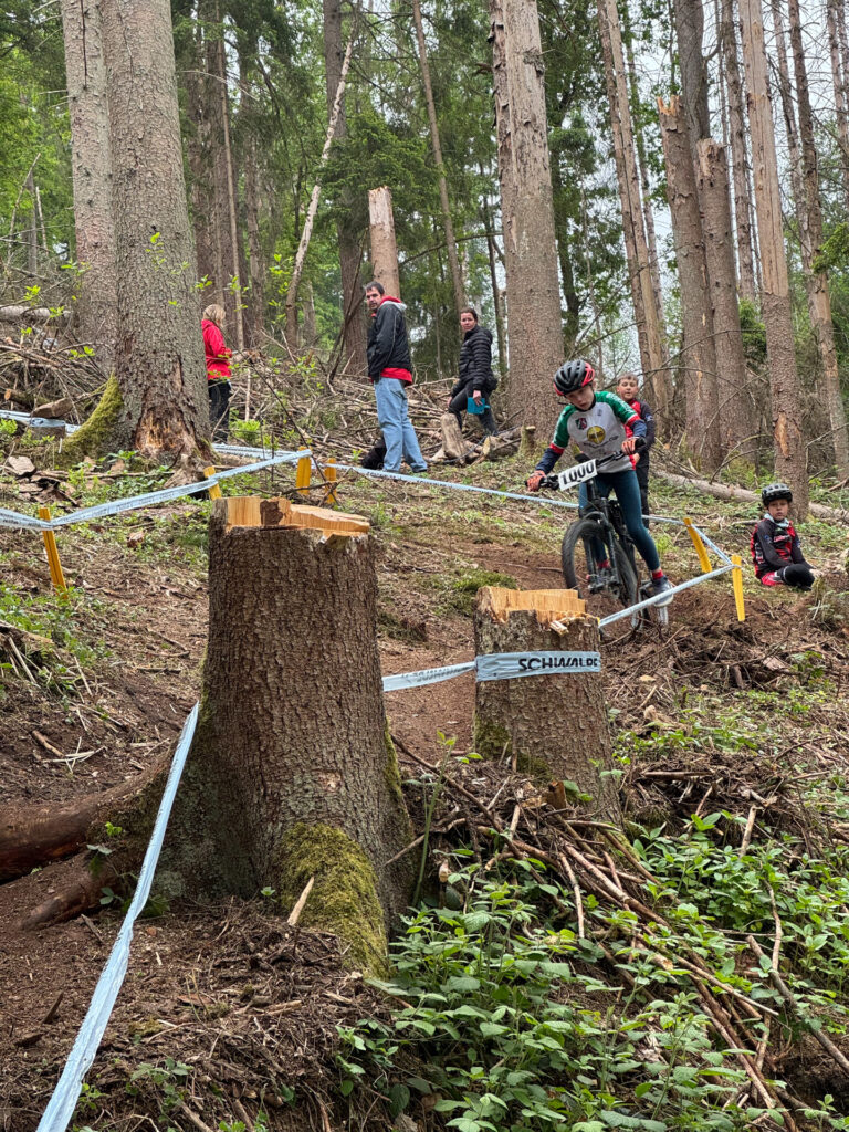 Jugendliche fahren ein Mountainbikerennen im Wald.